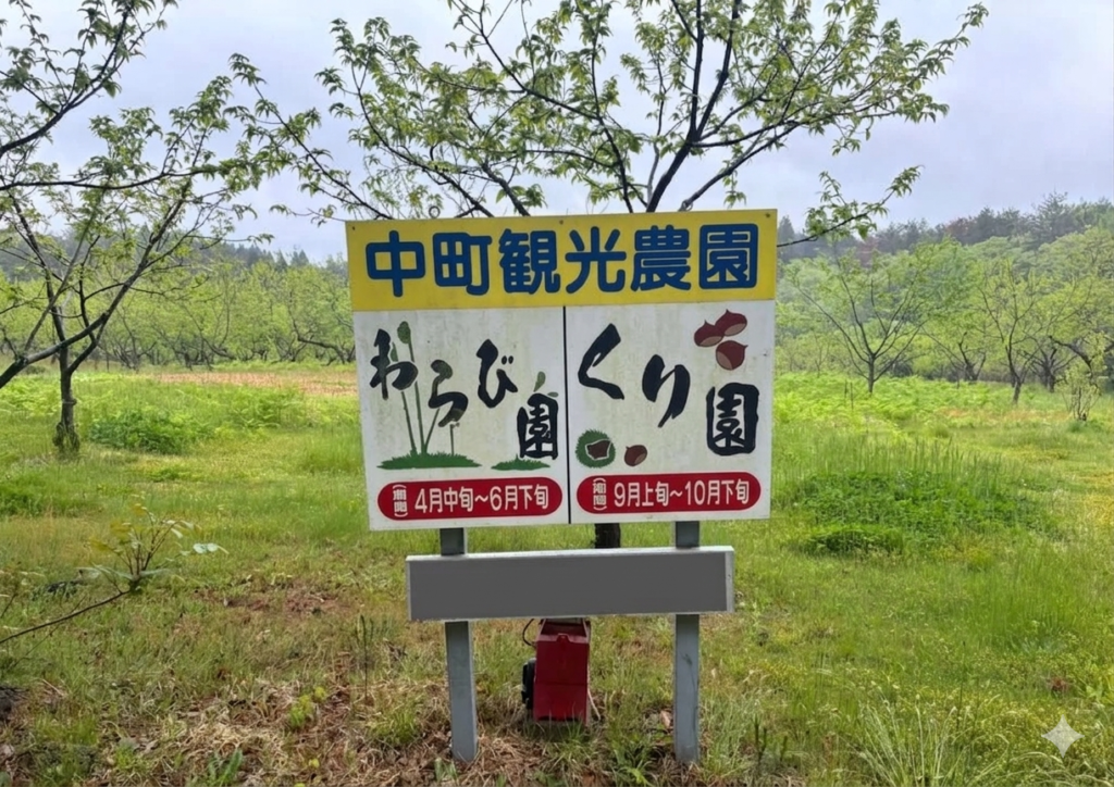 GW石川県に帰省し収穫してきました！